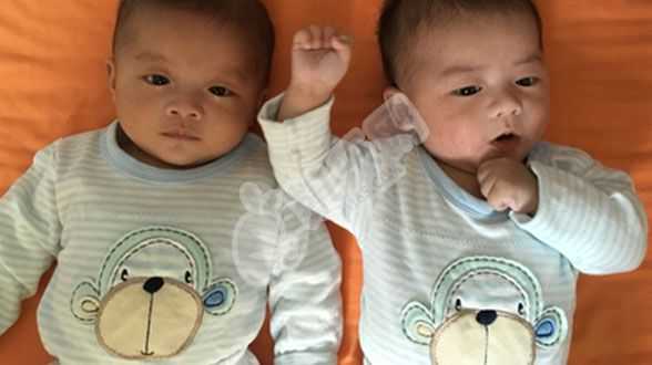 柳州找女人借腹生子,濮阳市妇幼保健院试管婴儿移植一次成功率怎么样